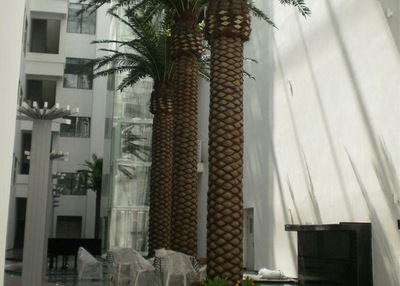 仿真海棗樹 室內外裝飾的綠色智慧之選